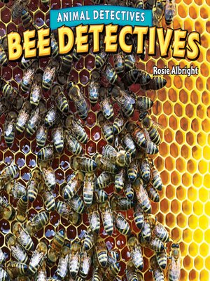 Bee Detectives - ebook